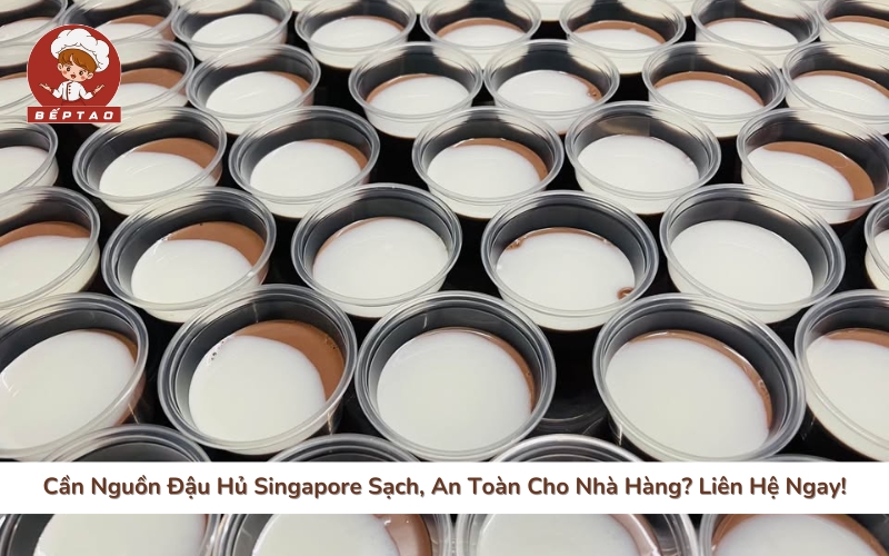 Cần Nguồn Đậu Bếp Tao: Nhà Cung Cấp Đậu Hủ Singapore Sạch, Uy Tín Hàng ĐầuHủ Singapore Sạch, An Toàn Cho Nhà Hàng_ Liên Hệ Ngay!