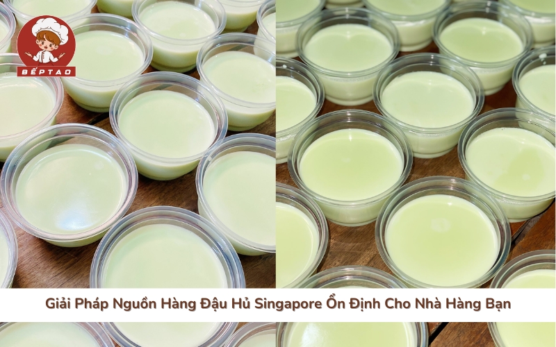 Giải Pháp Nguồn Hàng Đậu Hủ Singapore Ổn Định Cho Nhà Hàng Bạn