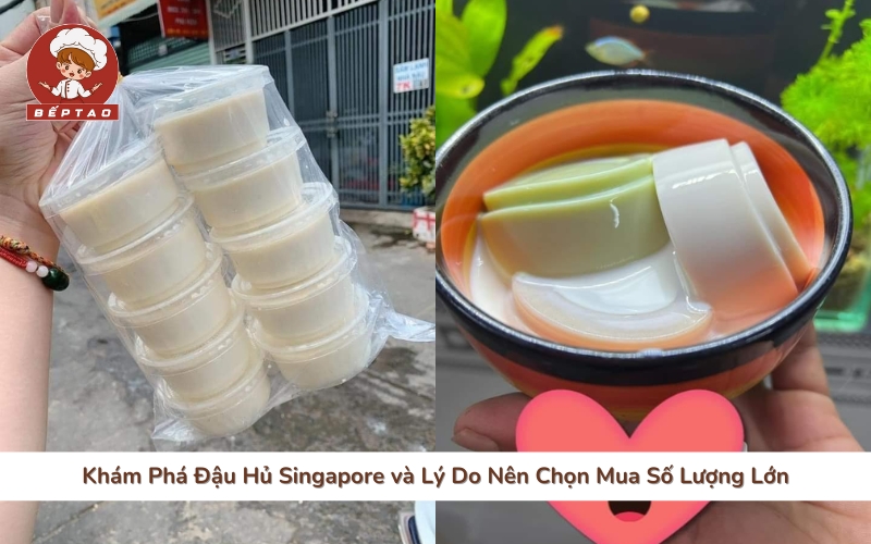 Khám Phá Đậu Hủ Singapore và Lý Do Nên Chọn Mua Số Lượng Lớn