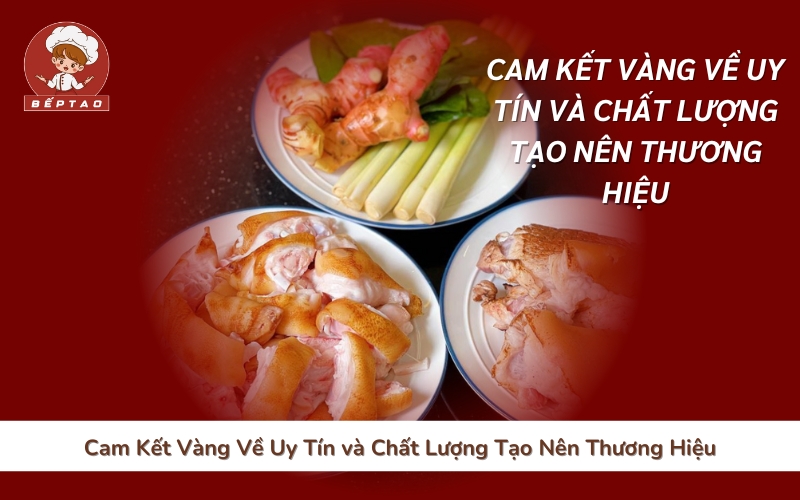 Cam Kết Vàng Về Uy Tín và Chất Lượng Tạo Nên Thương Hiệu