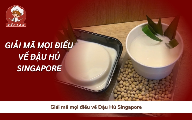 Giải mã mọi điều về Đậu Hủ Singapore